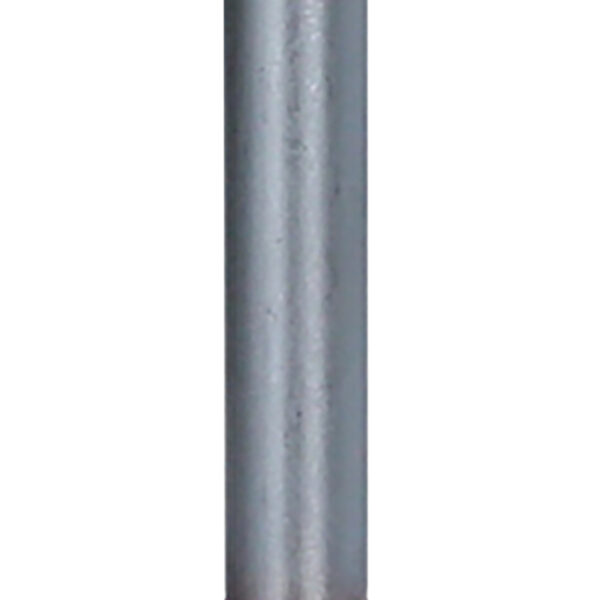 FOT_PRO_ALG_159.1208_SALL_AING_V1