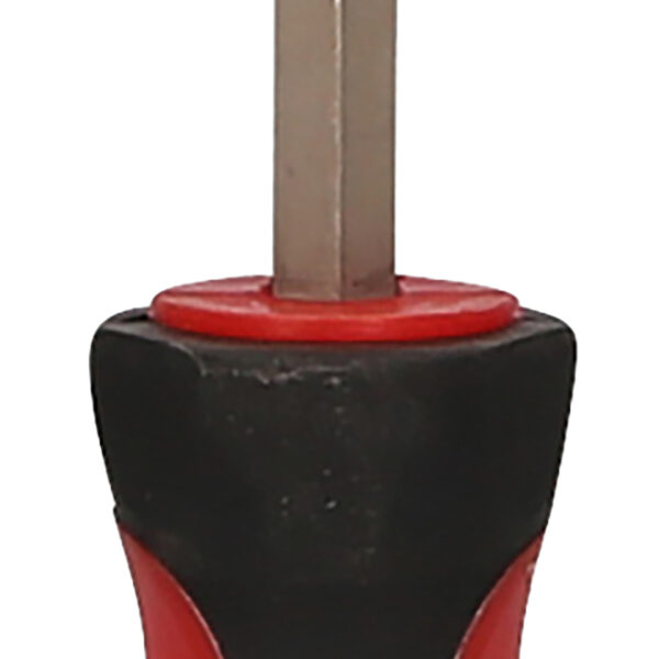 FOT_PRO_ALG_159.1198_SALL_AING_V1