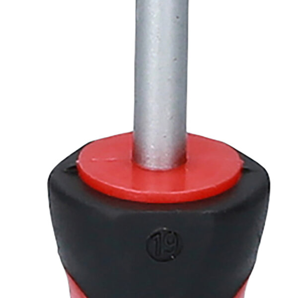 FOT_PRO_VAR_159.1055.2_SALL_AING_V1