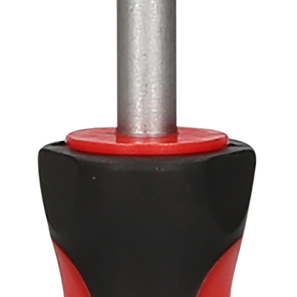 FOT_PRO_ALG_159.1038_SALL_AING_V1