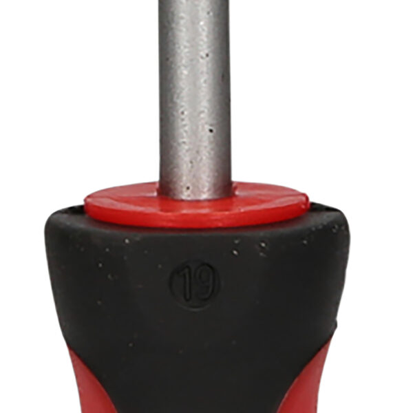 FOT_PRO_VAR_159.1037.2_SALL_AING_V1