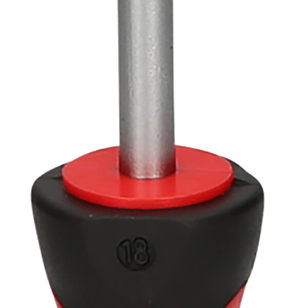 FOT_PRO_VAR_159.1036.2_SALL_AING_V1