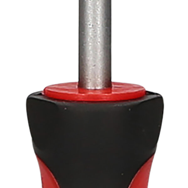 FOT_PRO_ALG_159.1035_SALL_AING_V1