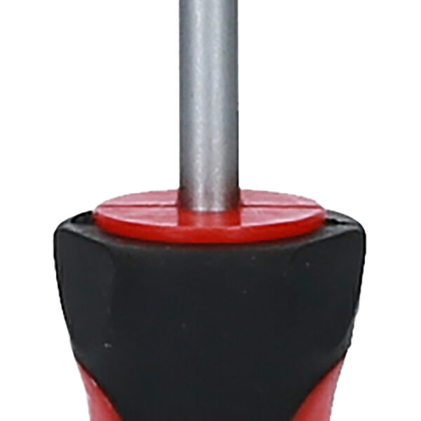 FOT_PRO_ALG_159.1034_SALL_AING_V1