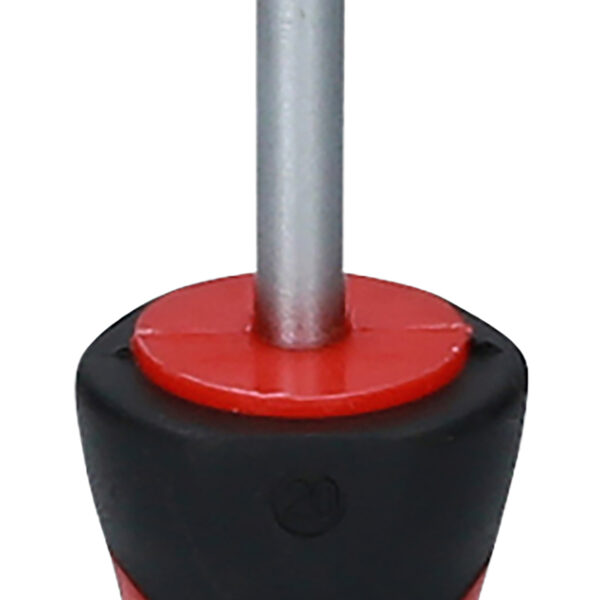 FOT_PRO_VAR_159.1031.2_SALL_AING_V1