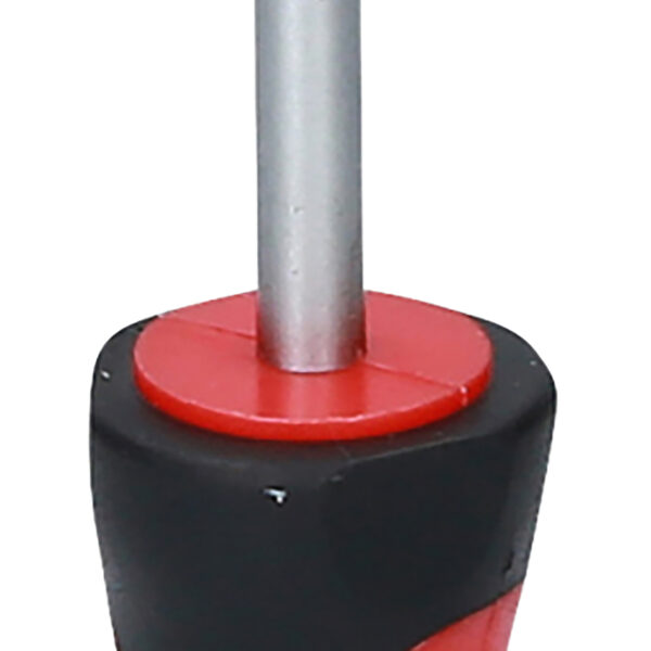 FOT_PRO_ALG_159.1029_SALL_AING_V1