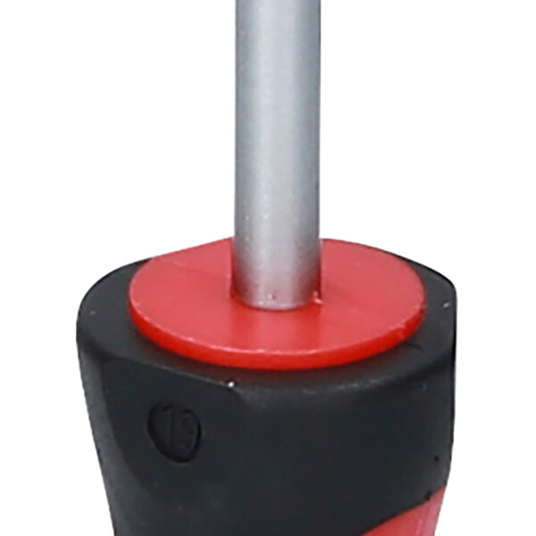 FOT_PRO_VAR_159.1029.2_SALL_AING_V1