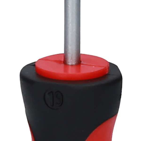 FOT_PRO_VAR_159.1027.2_SALL_AING_V1