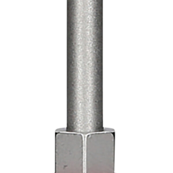 FOT_PRO_ALG_159.1024_SALL_AING_V1