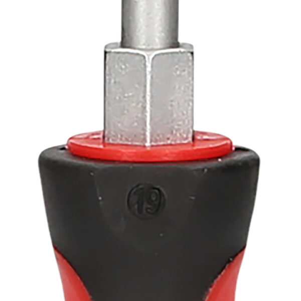 FOT_PRO_VAR_159.1021.2_SALL_AING_V1