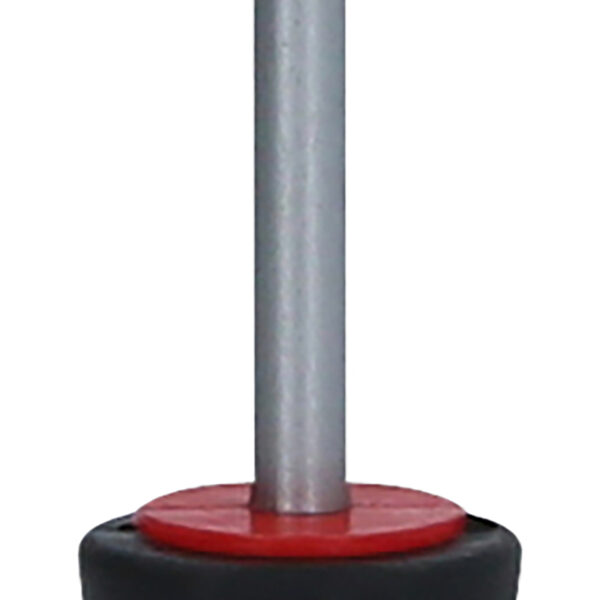 FOT_PRO_VAR_159.1006.2_SALL_AING_V1