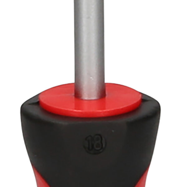 FOT_PRO_VAR_159.1005.2_SALL_AING_V1