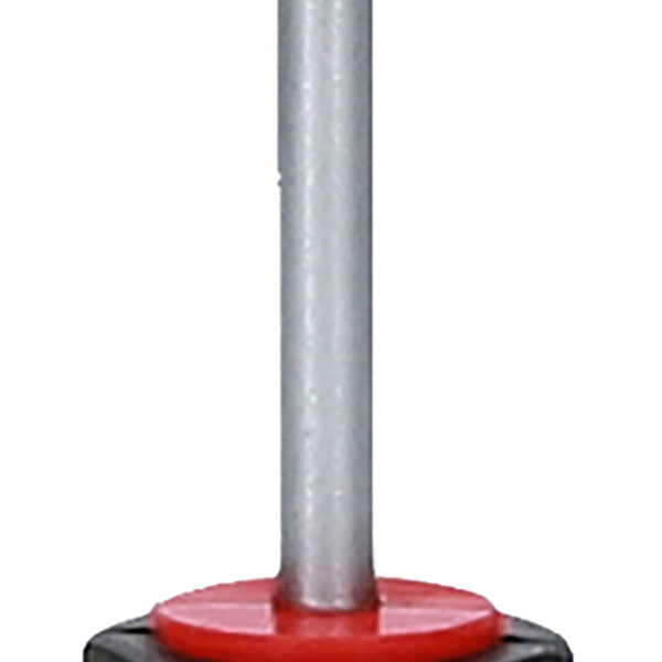 FOT_PRO_ALG_159.1004_SALL_AING_V1