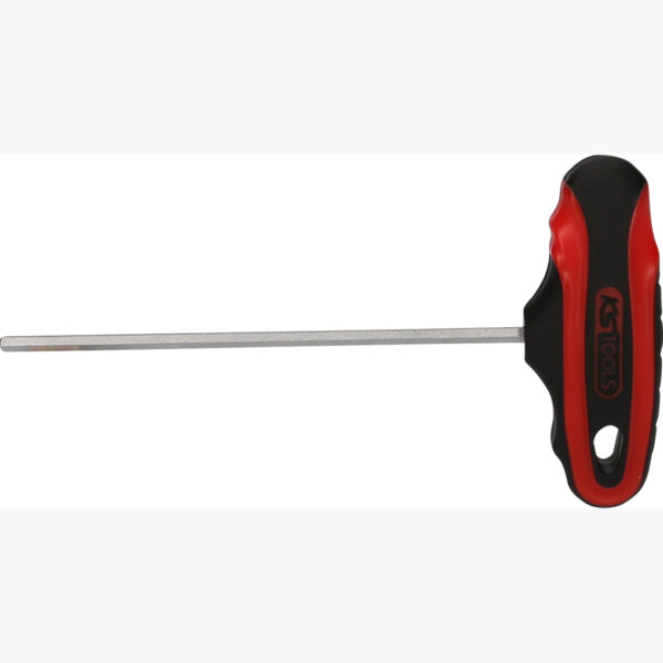 FOT_PRO_ALG_158.8033_SALL_AING_V1