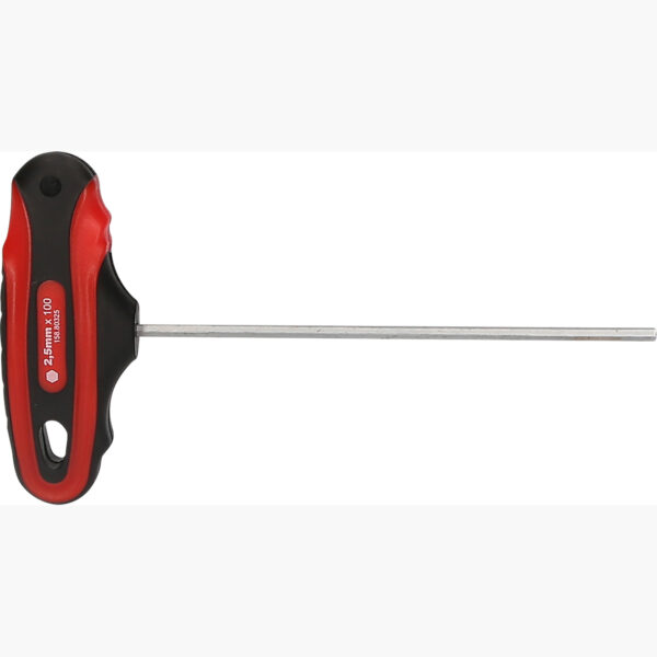 FOT_PRO_VAR_158.80325.2_SALL_AING_V1