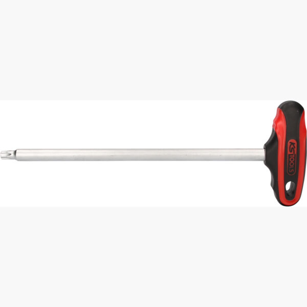 FOT_PRO_ALG_158.8028_SALL_AING_V1