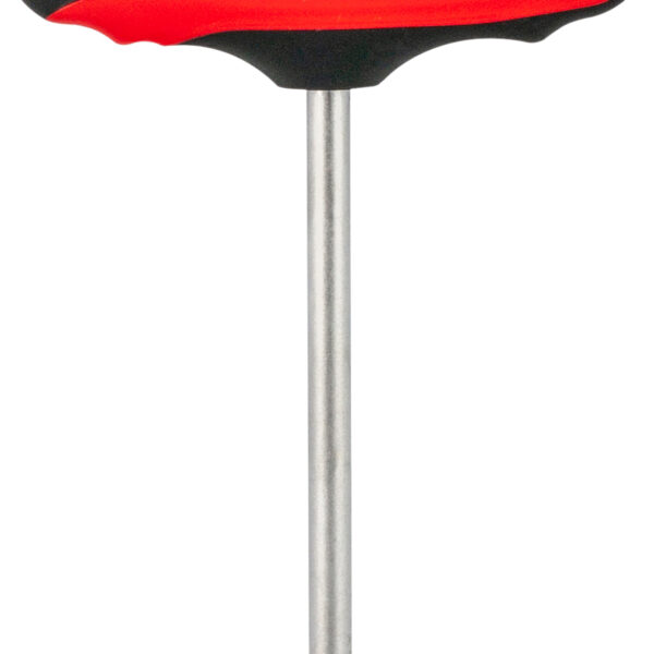 FOT_PRO_ALG_STIF_158.8024_SALL_AING_V1