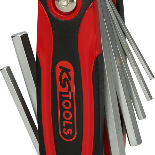 FOT_PRO_ALG_158.3540_SALL_AING_V1