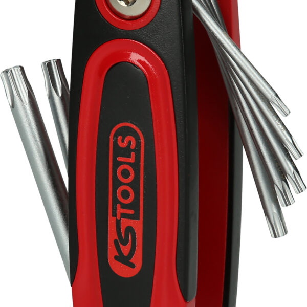 FOT_PRO_VAR_158.3530.2_SALL_AING_V1