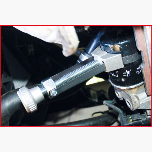 FOT_ANW_ALG_AUTO_155.500X(2-3).AW1_SALL_AING_V1