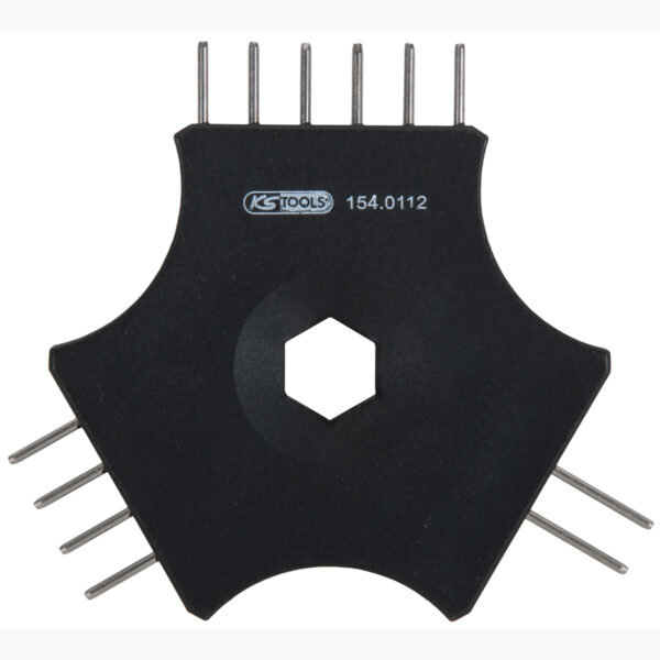 FOT_PRO_ALG_AUTO_154.0112_SALL_AING_V1