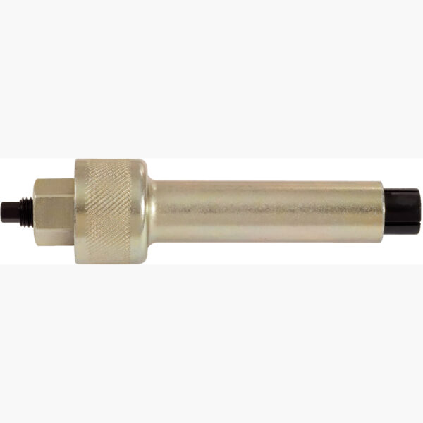 FOT_PRO_ALG_AUTO_152.1096_SALL_AING_V1