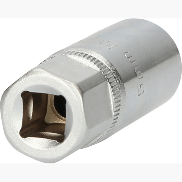 FOT_PRO_VAR_152.1005.2_SALL_AING_V1