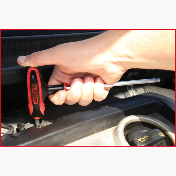 FOT_ANW_ALG_STIF_151.8150.AW1_SALL_AING_V1