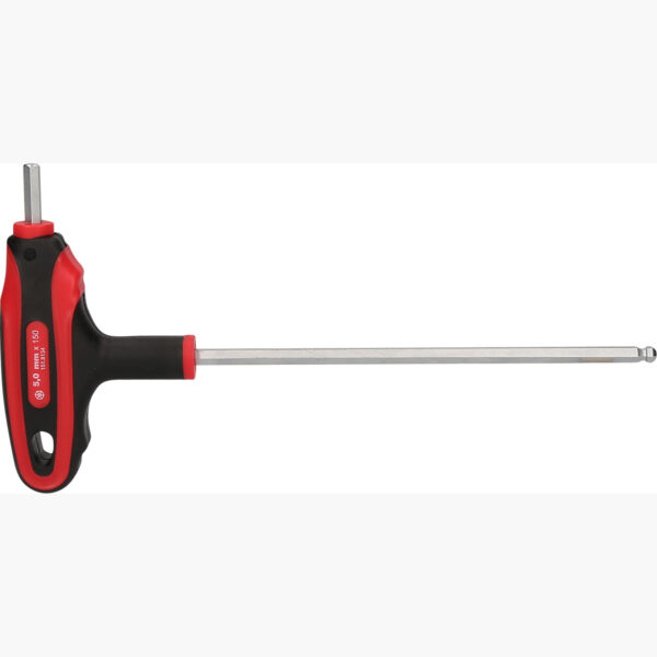 FOT_PRO_VAR_151.8134.2_SALL_AING_V1