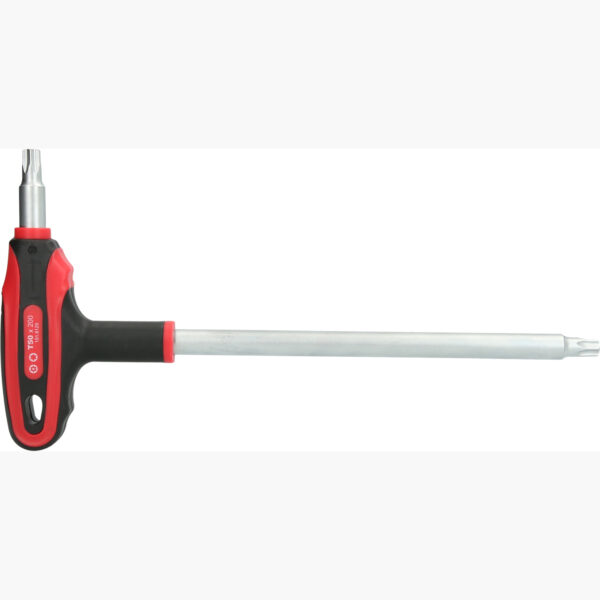 FOT_PRO_VAR_151.8129.2_SALL_AING_V1