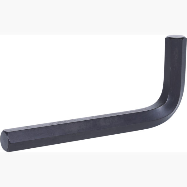 FOT_PRO_ALG_151.2624_SALL_AING_V1