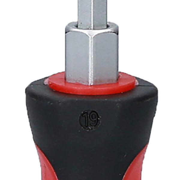 FOT_PRO_VAR_151.1128.2_SALL_AING_V1