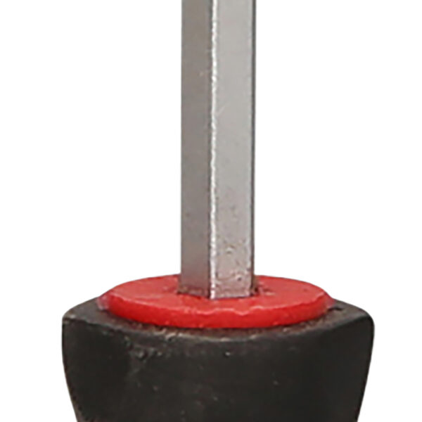 FOT_PRO_ALG_151.1125_SALL_AING_V1