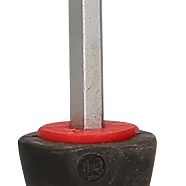 FOT_PRO_VAR_151.1125.2_SALL_AING_V1