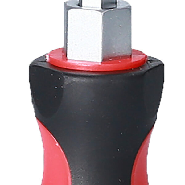 FOT_PRO_ALG_151.1104_SALL_AING_V1