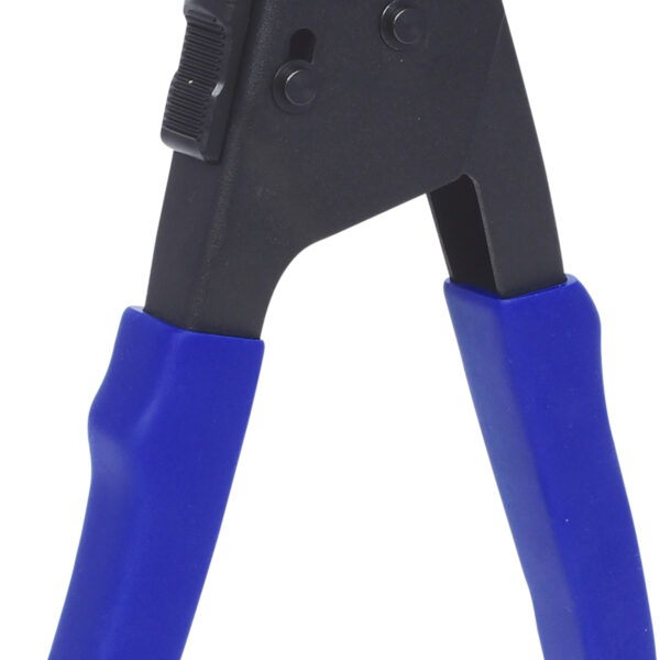 FOT_PRO_ALG_150.9650_SALL_AING_V1