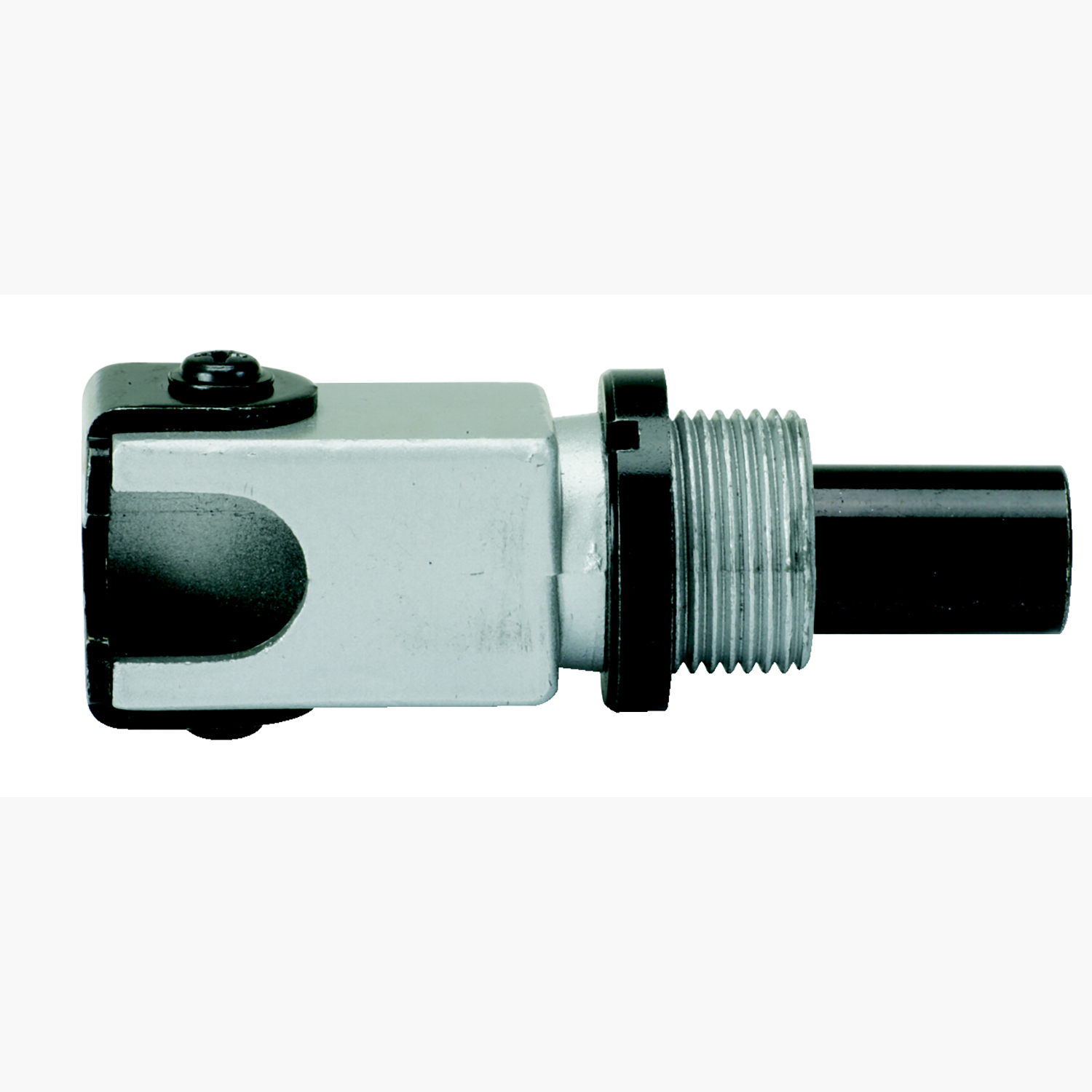 FOT_PRO_ALG_ZA_150.9620_SALL_AING_V1