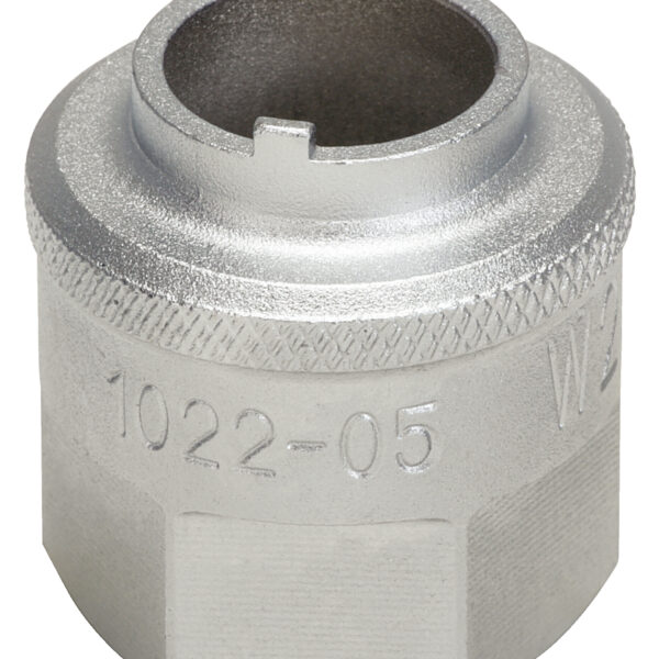 FOT_PRO_ALG_AUTO_150.9405_SALL_AING_V1