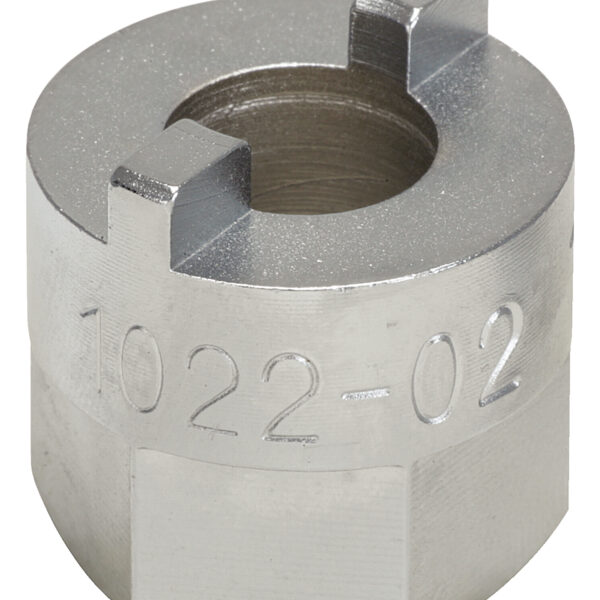 FOT_PRO_ALG_AUTO_150.9402_SALL_AING_V1