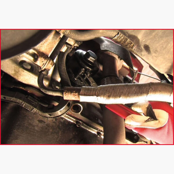 FOT_ANW_ALG_AUTO_150.937X(7-9).AW3_SALL_AING_V1