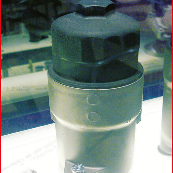 FOT_ANW_ALG_AUTO_150.936X(6-8).AW1_SALL_AING_V1