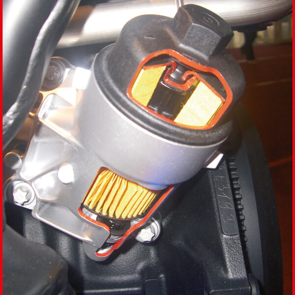 FOT_ANW_ALG_STK_150.9365.AW1_SALL_AING_V1