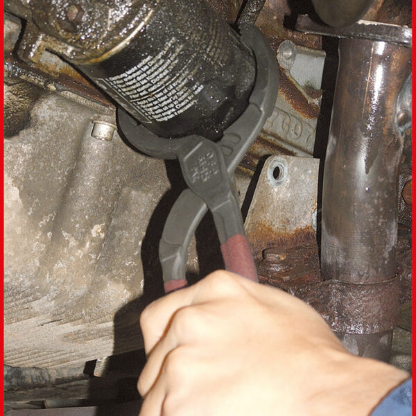 FOT_ANW_ALG_AUTO_150.9317.AW1_SALL_AING_V1