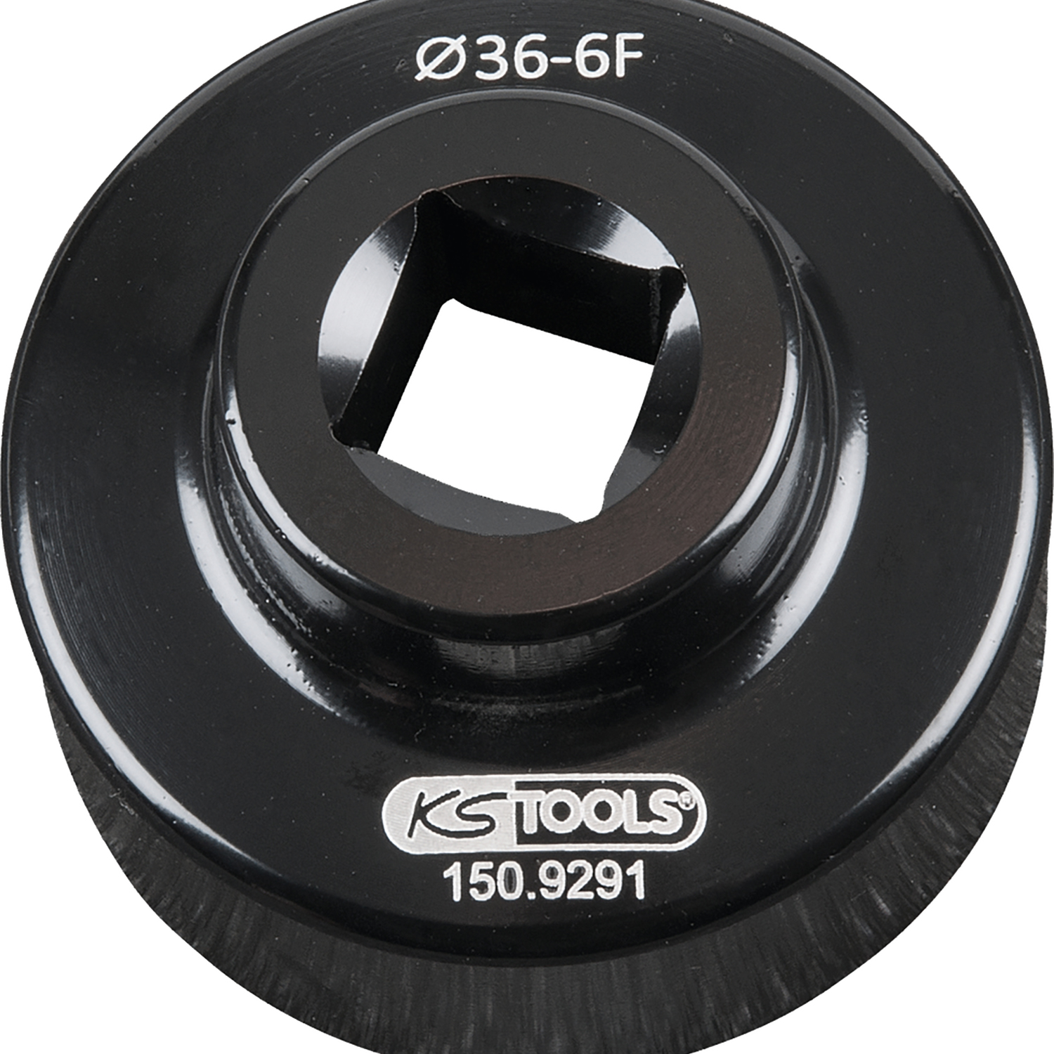 FOT_PRO_ALG_AUTO_150.9291_SALL_AING_V1