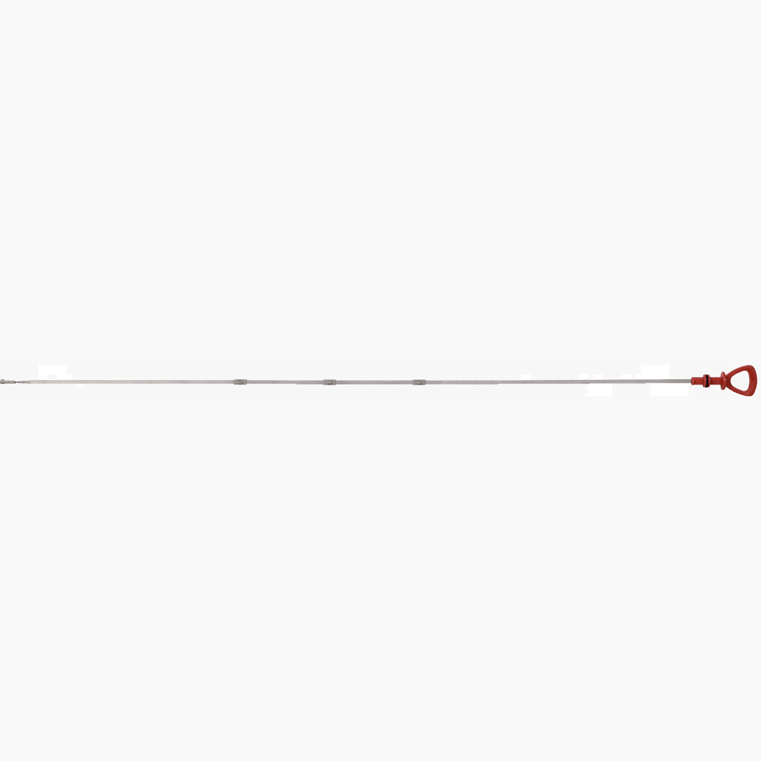 FOT_PRO_ALG_AUTO_150.9284_SALL_AING_V1