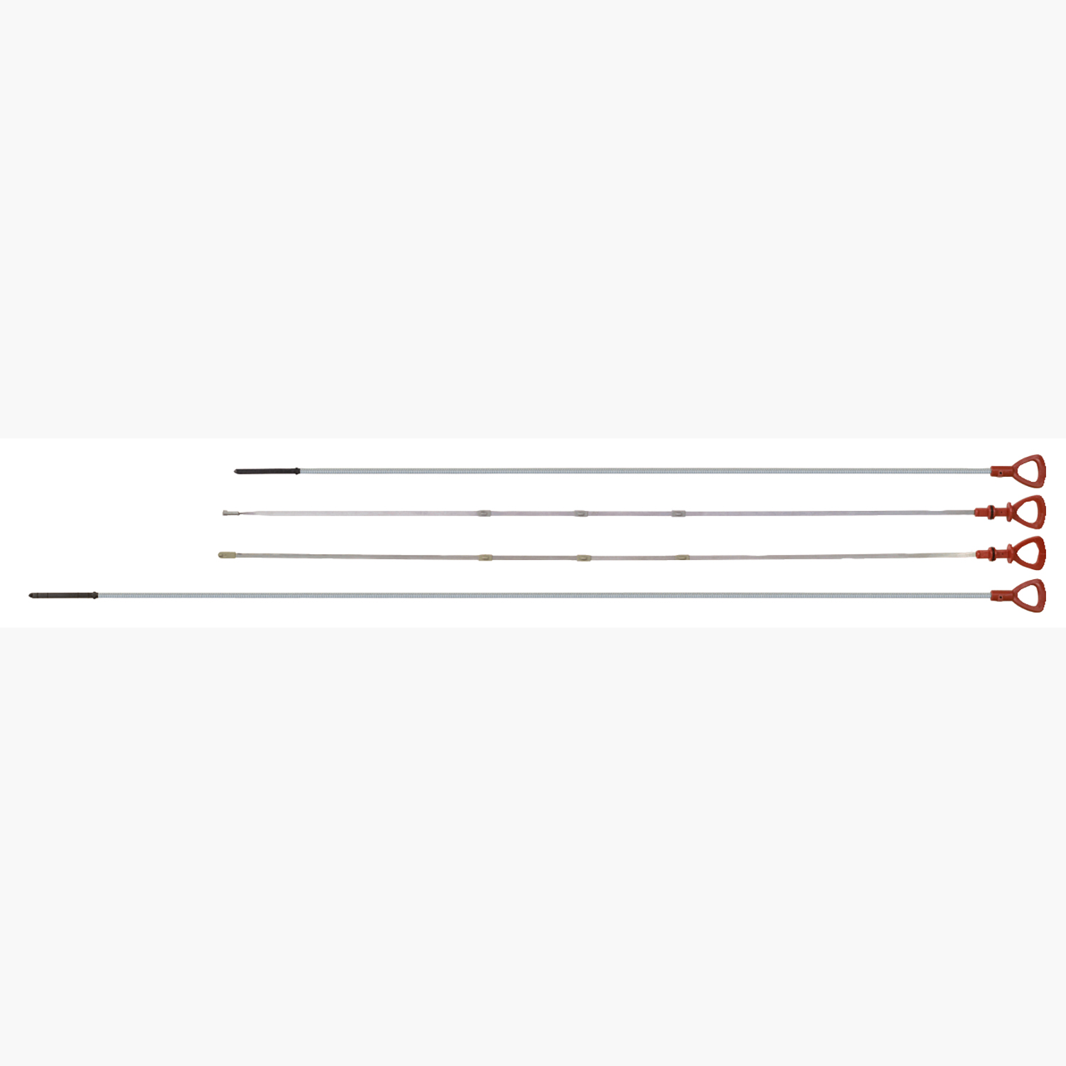 FOT_PRO_ALG_AUTO_150.9280_SALL_AING_V1