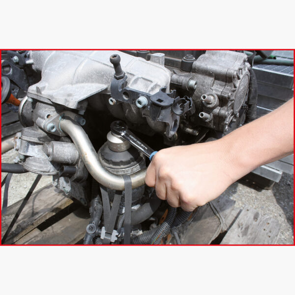 FOT_ANW_ALG_AUTO_150.9210.AW1_SALL_AING_V1