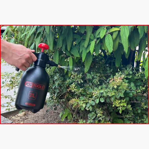 FOT_ANW_ALG_WZAL_150.8252.AW2_SALL_AING_V1