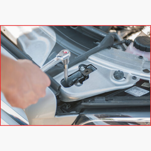 FOT_ANW_ALG_AUTO_150.8110.AW2_SALL_AING_V1