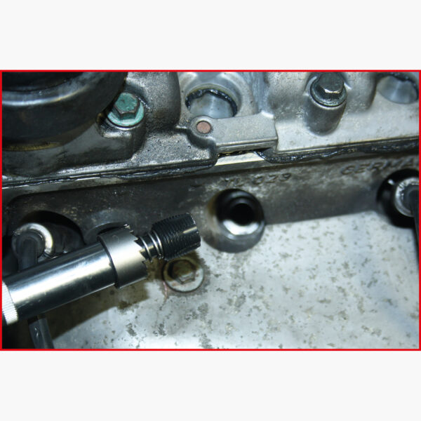 FOT_ANW_ALG_AUTO_150.501X(6-8).AW2_SALL_AING_V1
